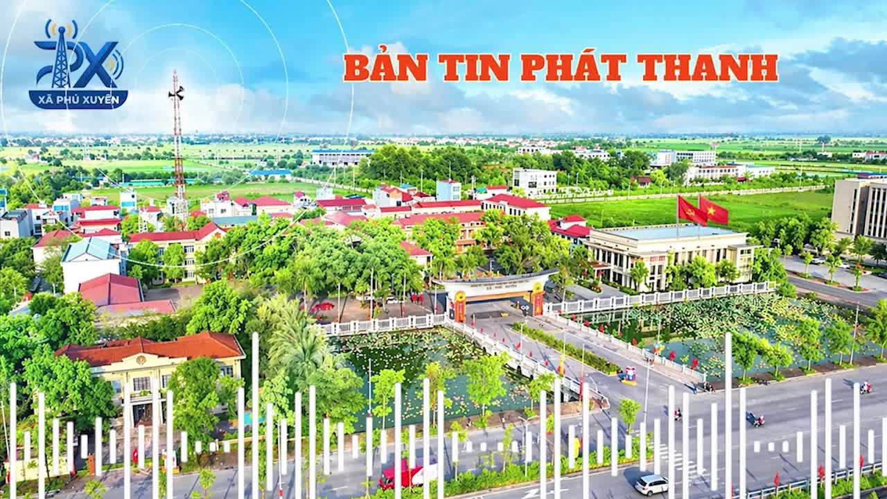 Chương trình ngày 29.5.2026