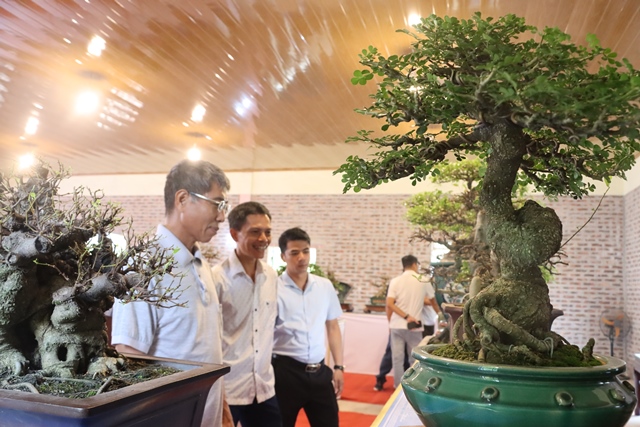 Câu lạc bộ cây cảnh nghệ thuật Phú Xuyên kỷ niệm ngày thành lập- Ảnh 3.