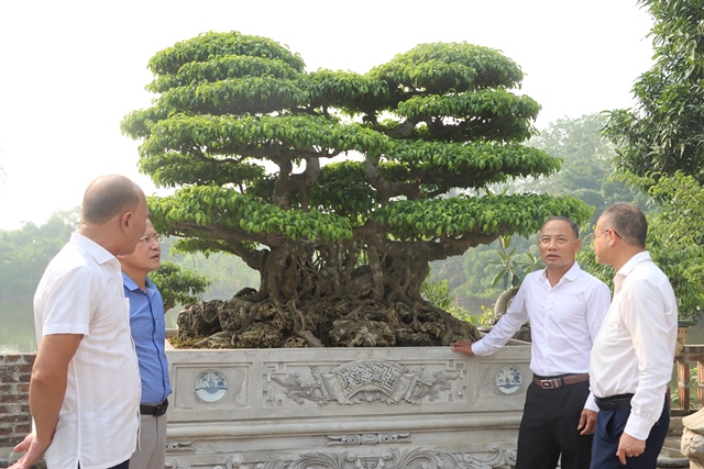 Câu lạc bộ cây cảnh nghệ thuật Phú Xuyên kỷ niệm ngày thành lập- Ảnh 1.