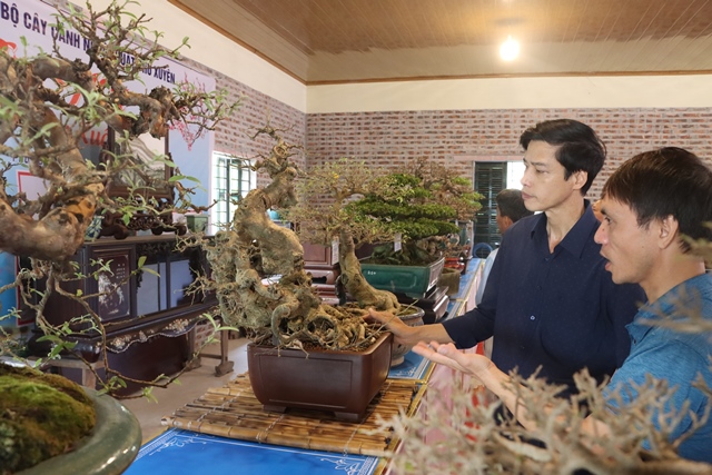 Câu lạc bộ cây cảnh nghệ thuật Phú Xuyên kỷ niệm ngày thành lập- Ảnh 2.