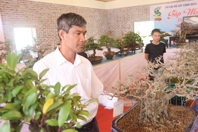 Câu lạc bộ cây cảnh nghệ thuật Phú Xuyên kỷ niệm ngày thành lập- Ảnh 4.