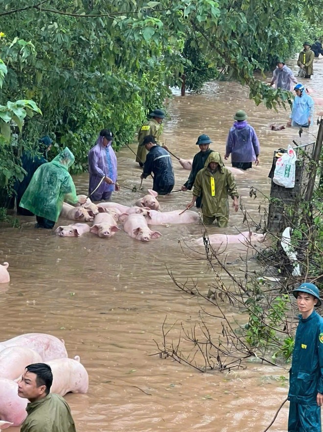 Công an huyện Phú Xuyên "vì nước quên thân, vì dân phục vụ"- Ảnh 3.