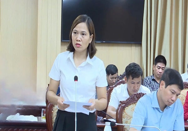 Thường trực HĐND huyện giám sát công tác quản lý, xử lý vi phạm đất đai trên địa bàn- Ảnh 4.