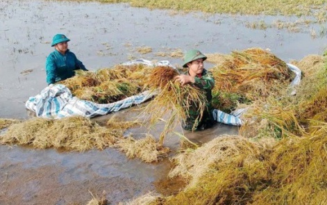 Lực lượng vũ trang kề vai, sát cánh cùng nhân dân vượt khó