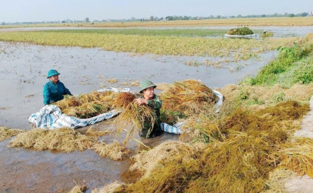 Lực lượng vũ trang kề vai, sát cánh cùng nhân dân vượt khó- Ảnh 1.