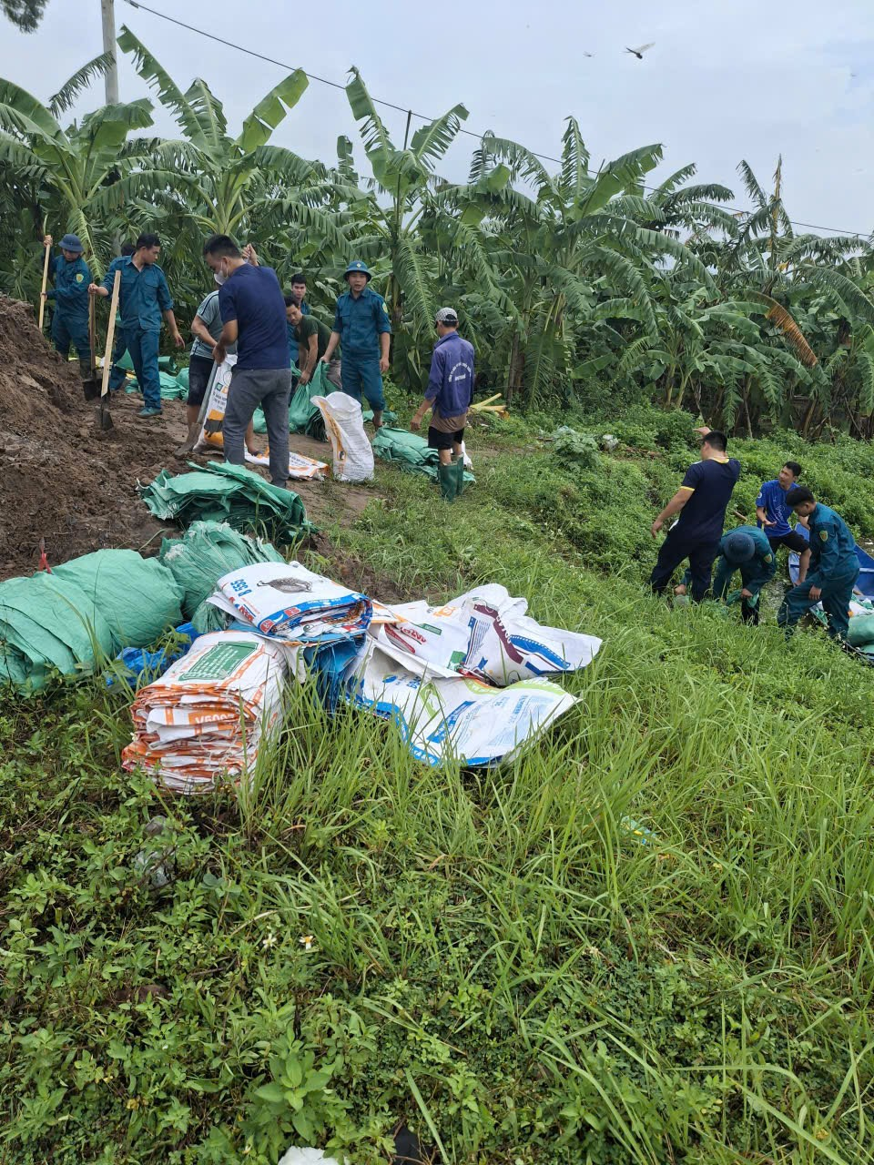 Hồng Sơn chủ động ứng phó với thiên tai do ảnh hưởng cơn bão số 9 và số 10 trên địa bàn- Ảnh 2.