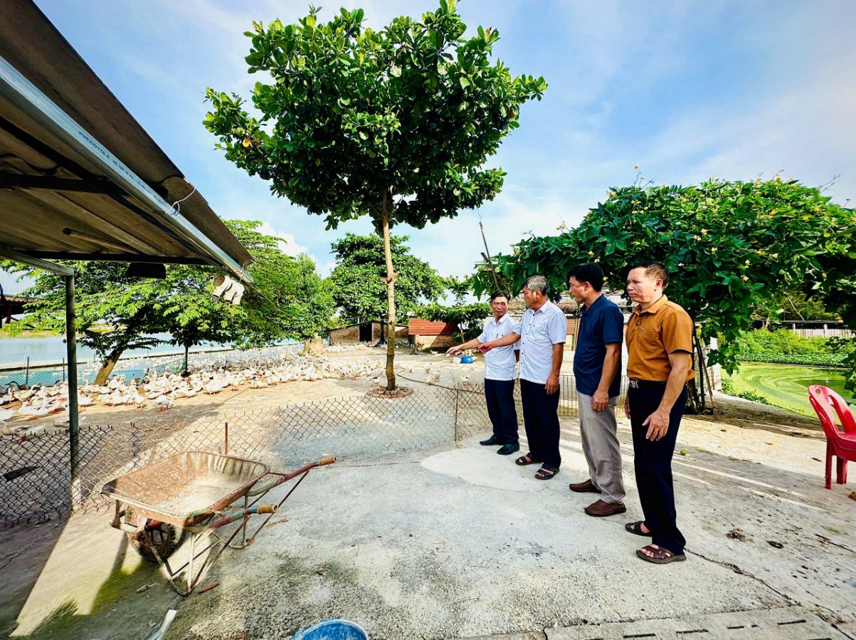 Anh Hoàng Tiến Tuyên, hội viên nông dân làm kinh tế giỏi từ mô hình VAC- Ảnh 1.