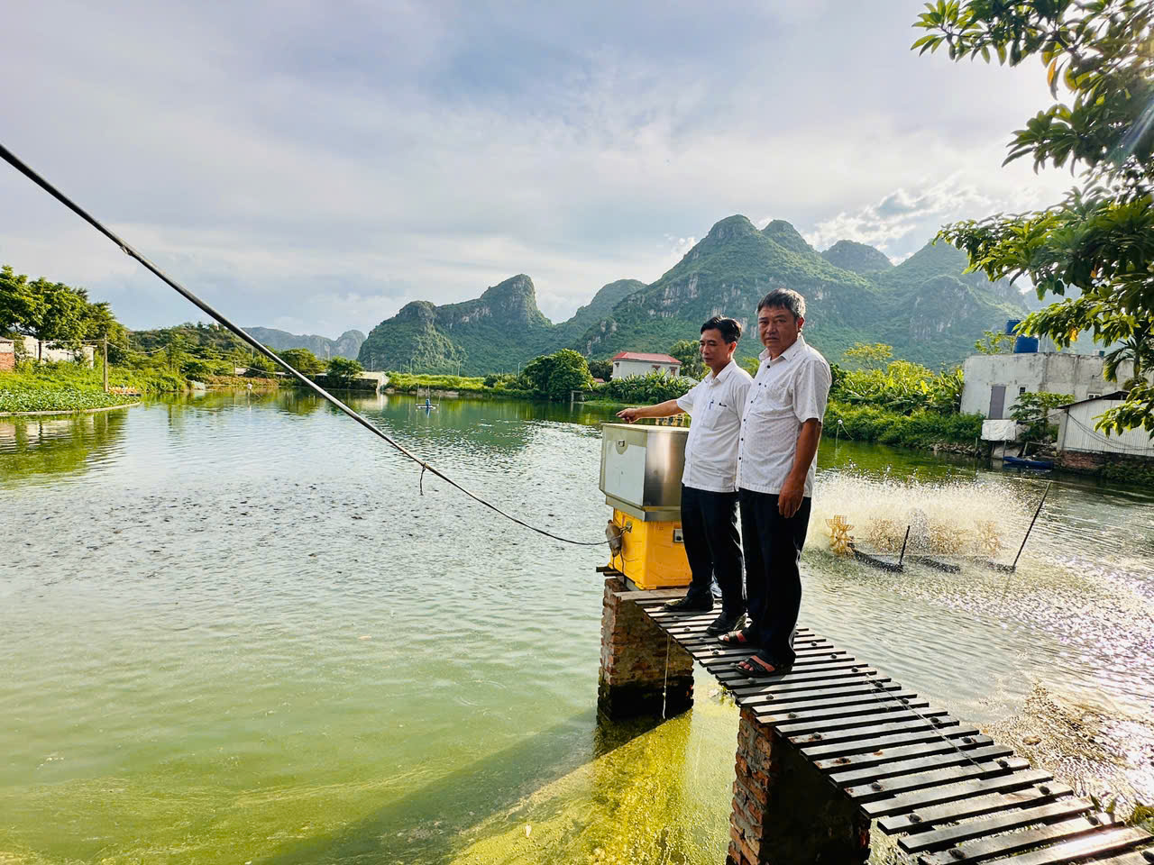 Anh Hoàng Tiến Tuyên, hội viên nông dân làm kinh tế giỏi từ mô hình VAC- Ảnh 2.