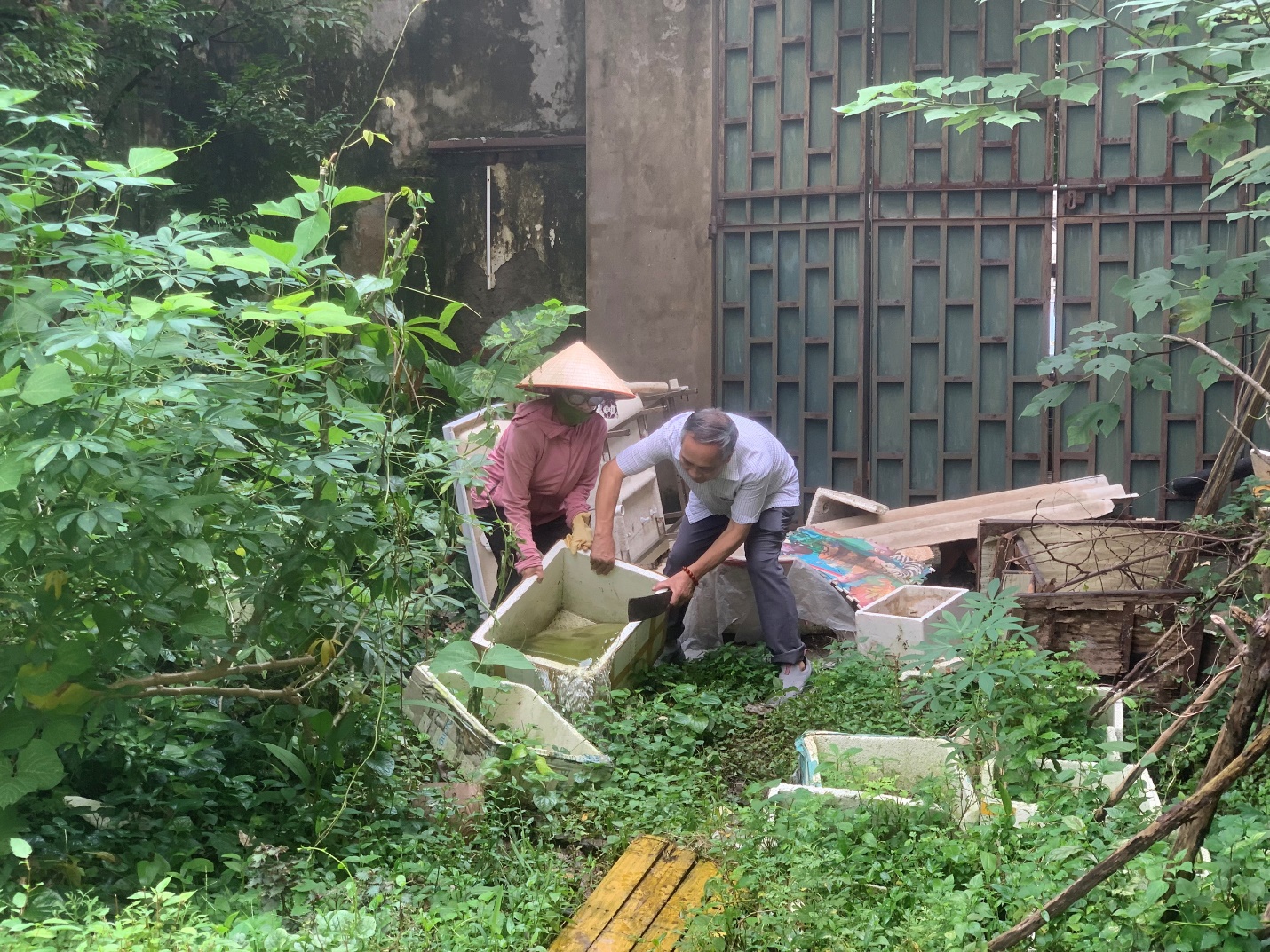 Cán bộ, hội viên, đoàn viên và nhân dân phường Kiến Hưng hưởng ứng "Ngày cuối tuần xanh"- Ảnh 5.