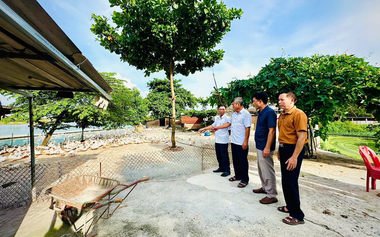 Anh Hoàng Tiến Tuyên, hội viên nông dân làm kinh tế giỏi từ mô hình VAC