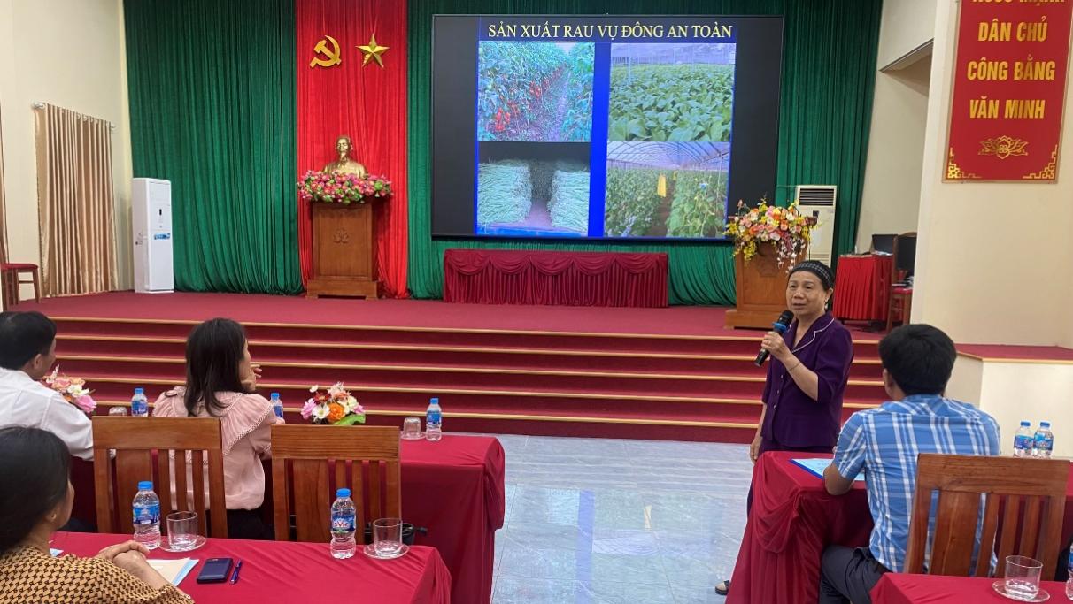 Hồng Sơn phối hợp tập huấn nâng cao kiến thức kỹ thuật trồng cây vụ đông mang lại giá trị kinh tế cao- Ảnh 1.