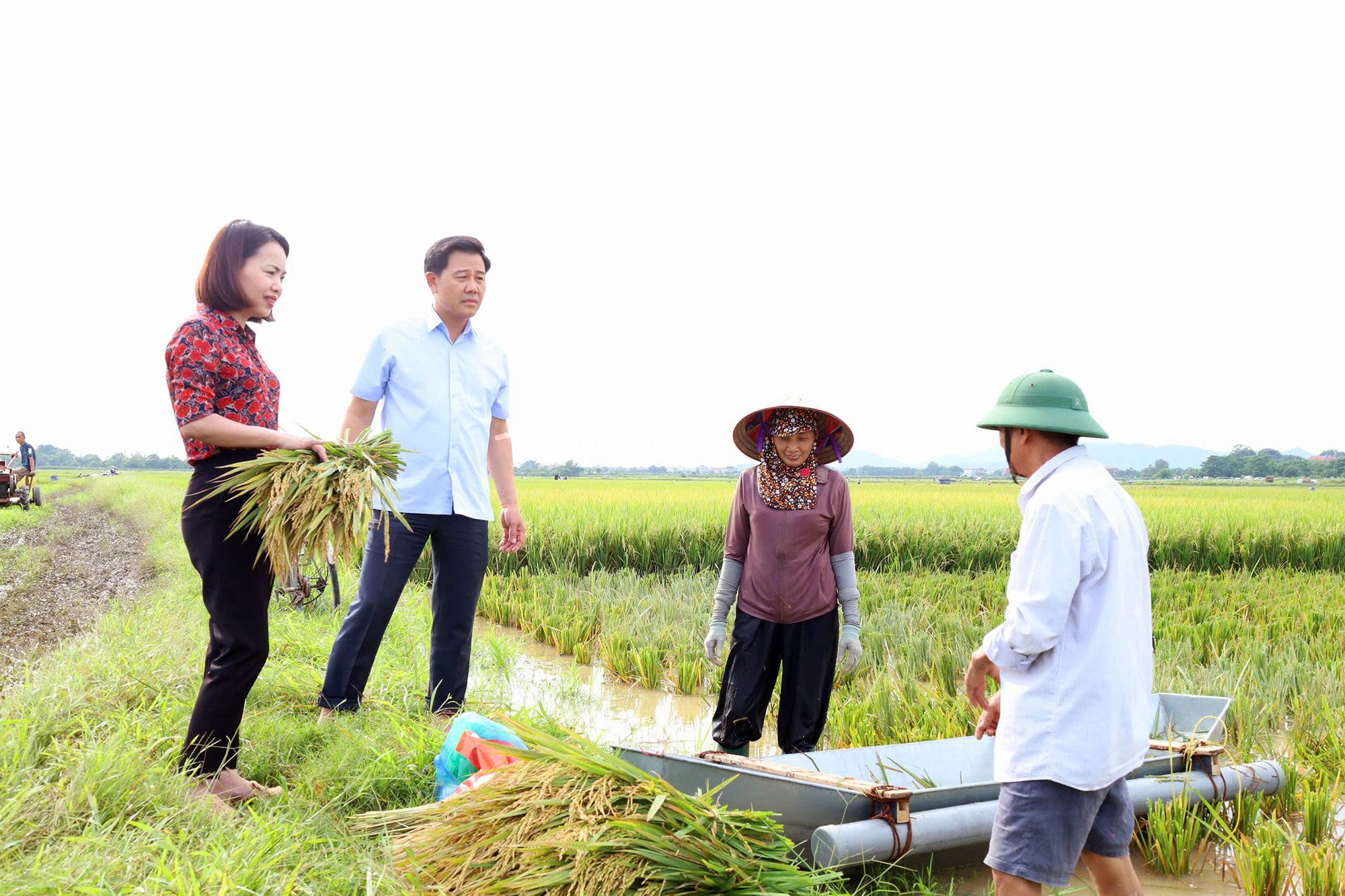 Giám đốc Sở Nông Nghiệp và Môi trường thành phố Hà Nội thăm và chỉ đạo công tác phòng chống lũ lụt tại xã Đa Phúc