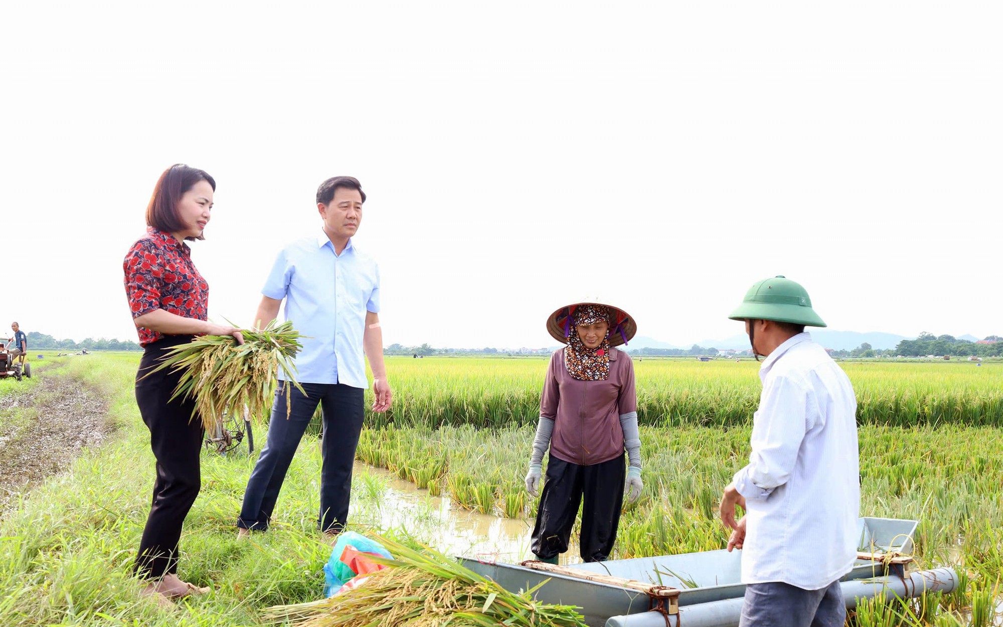 Giám đốc Sở Nông Nghiệp và Môi trường thành phố Hà Nội thăm và chỉ đạo công tác phòng chống lũ lụt tại xã Đa Phúc