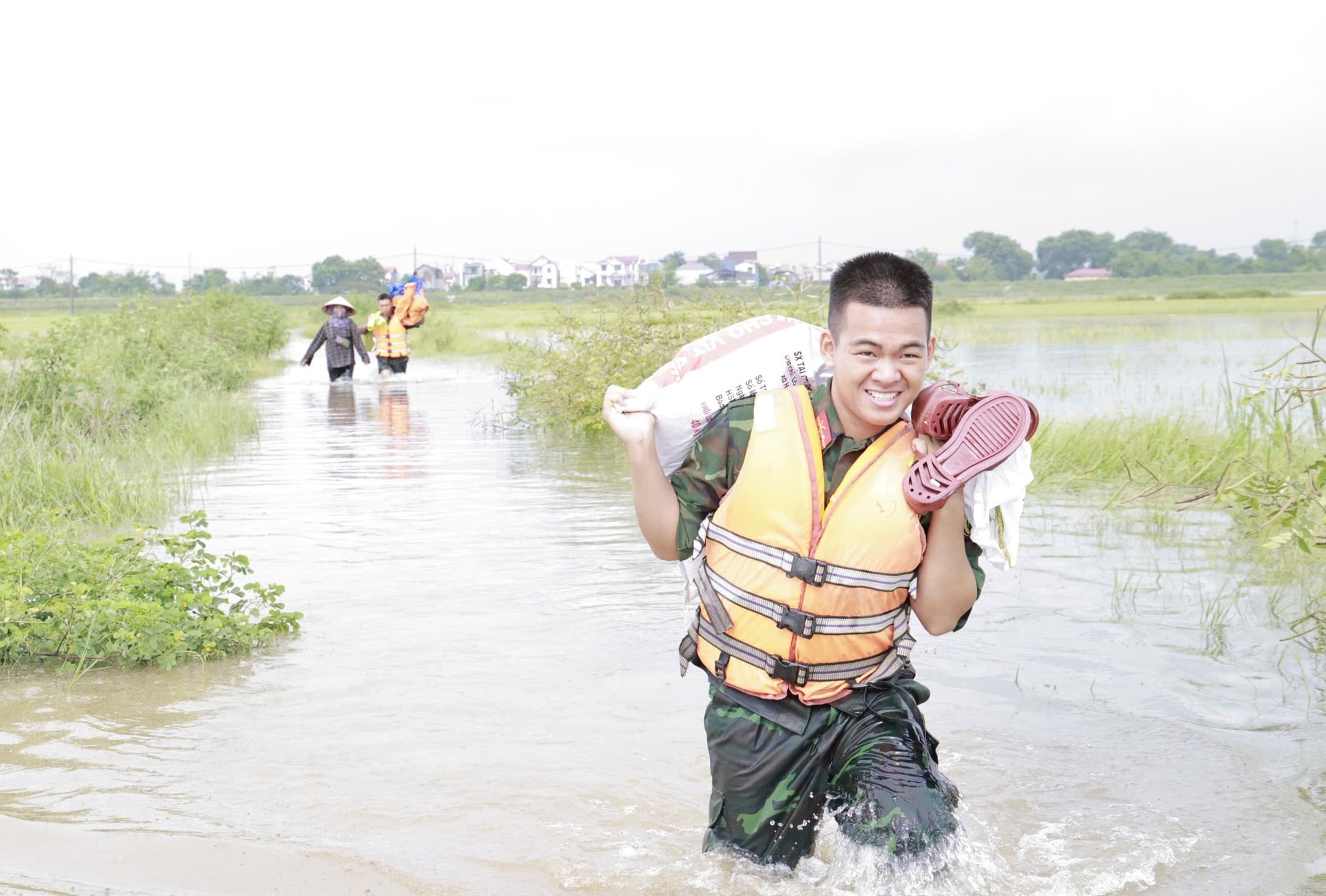 Xã Đa Phúc: Khoảng 350 bộ đội, dân quân hỗ trợ người dân thu hoạch lúa chạy lũ- Ảnh 4.