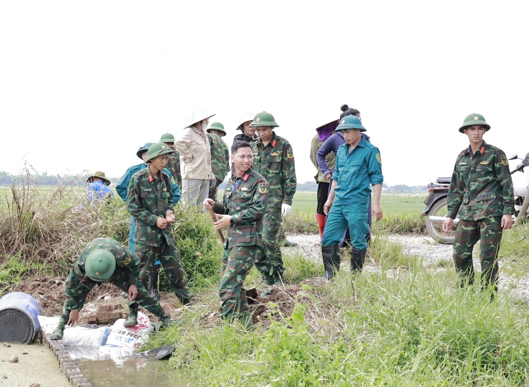 Xã Đa Phúc: Khoảng 350 bộ đội, dân quân hỗ trợ người dân thu hoạch lúa chạy lũ- Ảnh 7.