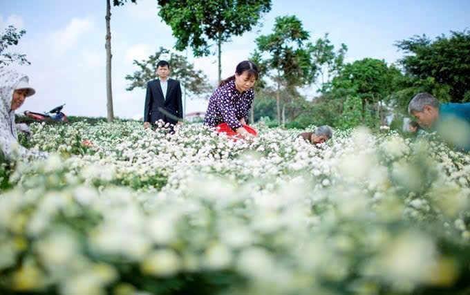 Công bố sản phẩm du lịch "Con đường Di sản Nam Thăng Long, Hà Nội – Tinh hoa làng nghề Việt"- Ảnh 3.