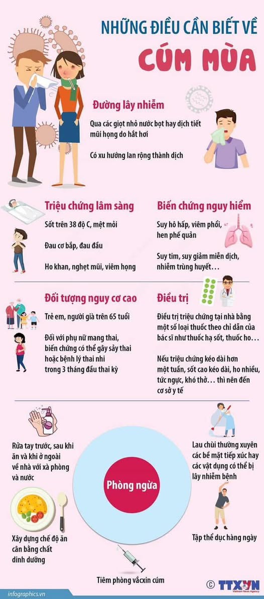 Chủ động phòng chống bệnh Cúm mùa- Ảnh 1.