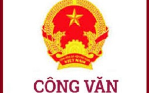 Công văn số 4338/SVHTT-VP ngày 01/10/2025 của Sở Văn hóa và Thể thao Hà Nội