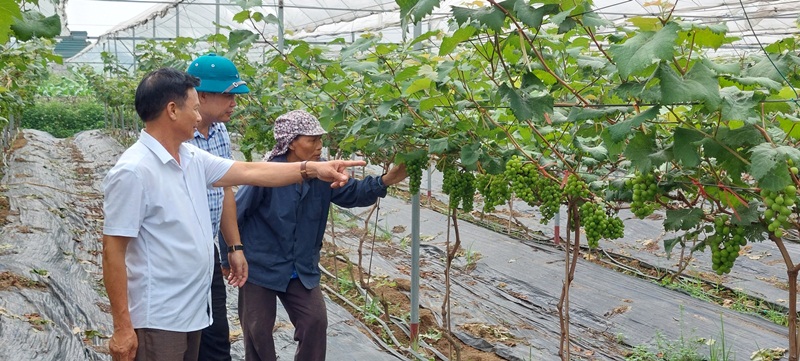 https://chuongmy.hanoi.gov.vn/documents/4907787/6819857/tuan+2.jpg/910419e2-3a11-4907-85da-985a2fd1c0c8?t=1717405502861