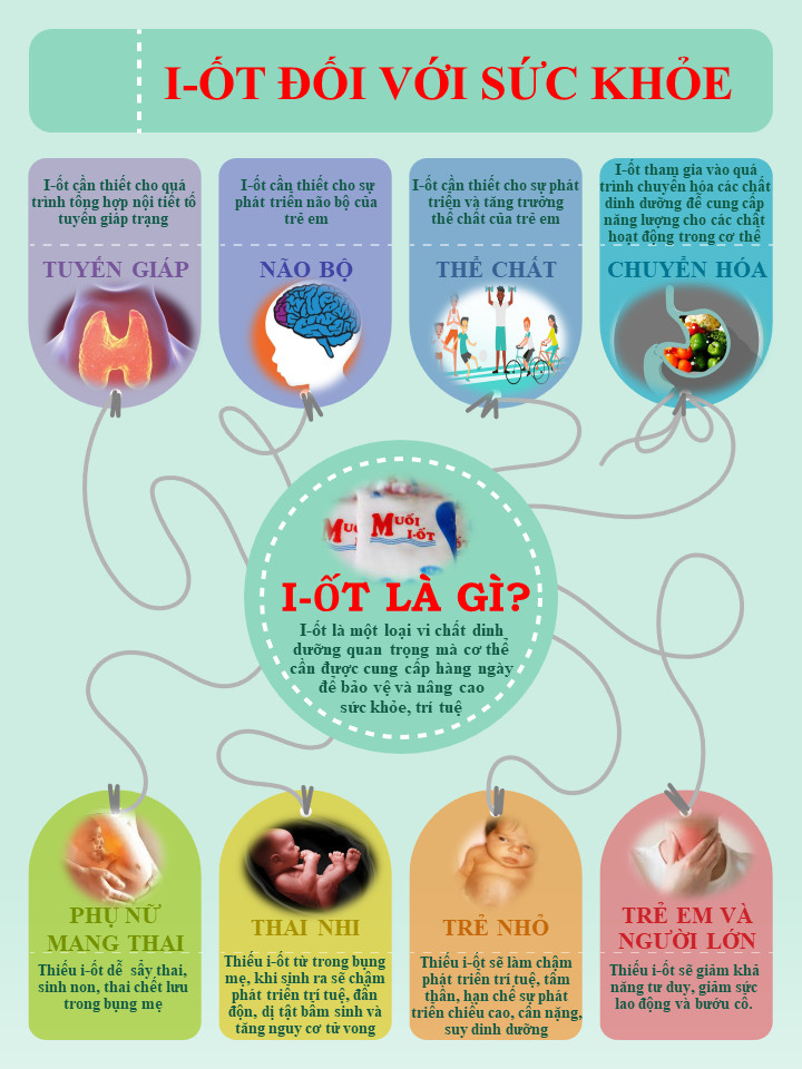 Hưởng ứng ngày toàn dân mua và sử dụng muối i-ốt (2/11)- Ảnh 1.