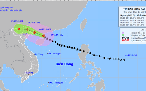 Bão số 11 tiến sát Quảng Ninh, Hà Nội chuẩn bị mưa lớn