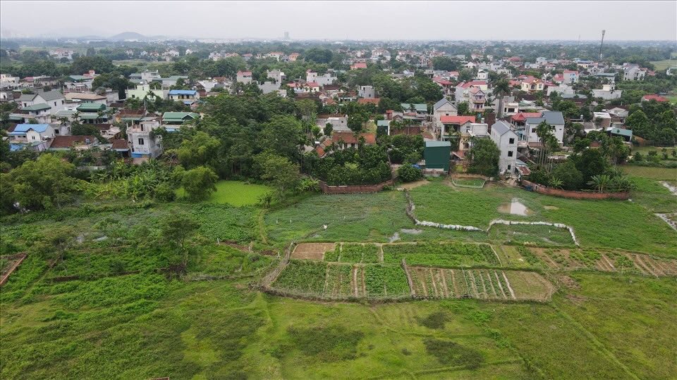 Cách xử lý khi sai lệch thông tin sổ đỏ trong 90 ngày làm sạch dữ liệu đất đai- Ảnh 1.