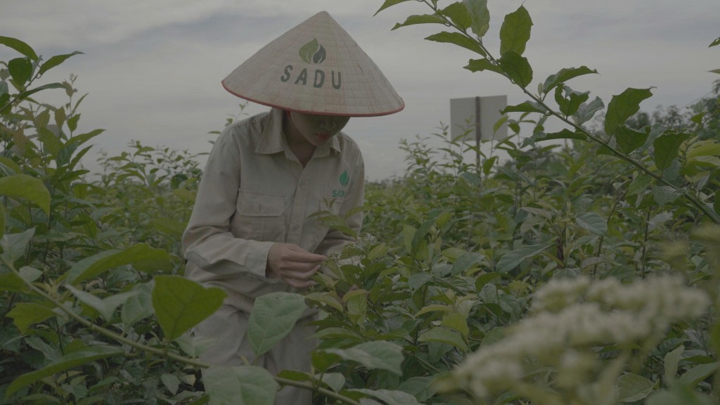 Câu chuyện thành công của doanh nghiệp biết nắm bắt thời cơ- Ảnh 3.