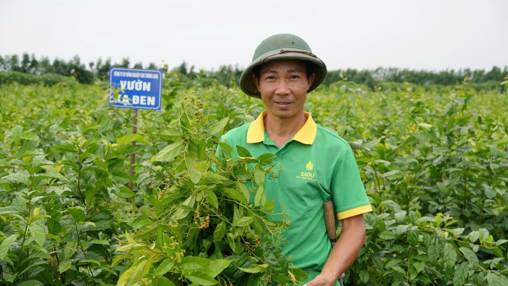 Câu chuyện thành công của doanh nghiệp biết nắm bắt thời cơ- Ảnh 4.