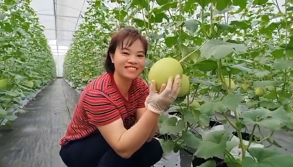 Tấm gương phụ nữ sáng tạo, nhiệt huyết sản xuất nông nghiệp sạch- Ảnh 1.