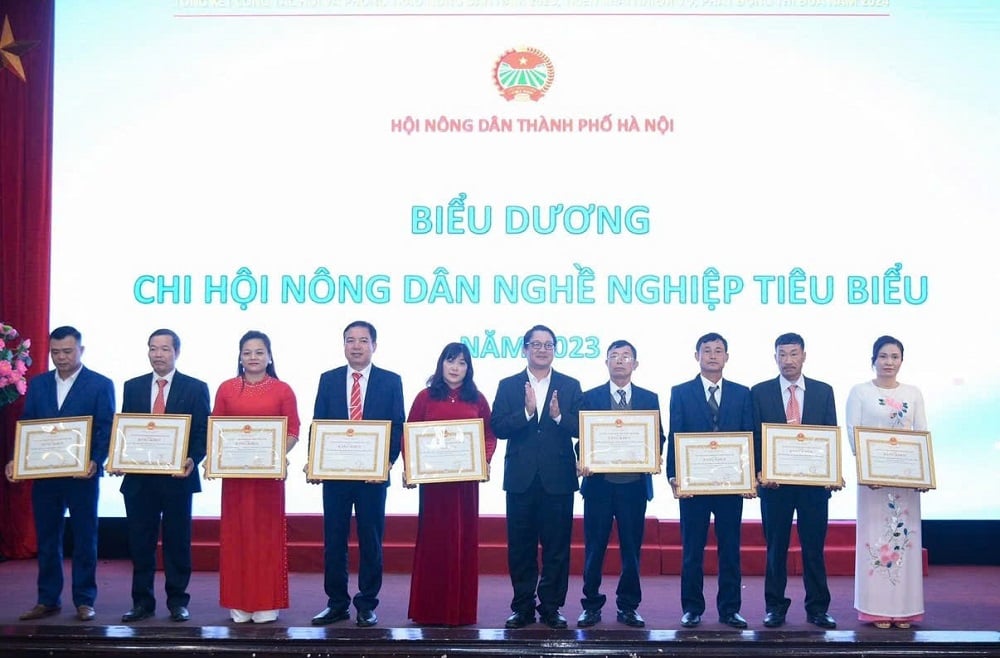 Thu nhập cao từ mô hình nuôi gà siêu trứng ở Đại Xuyên- Ảnh 3.