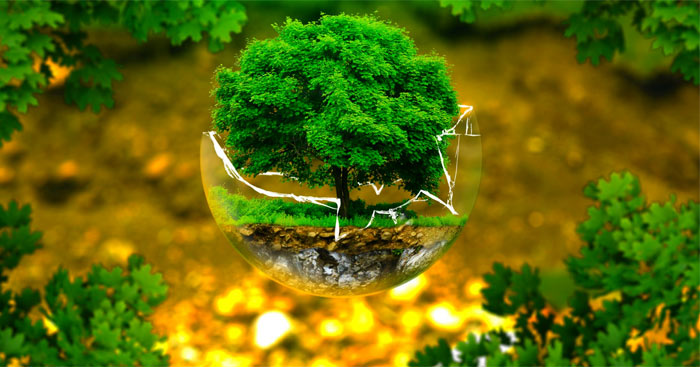 THÔNG BÁO QUY ĐỊNH VỀ VIỆC ĐỔ RÁC THẢI ĐÚNG THỜI GIAN, ĐÚNG NƠI QUY ĐỊNH GÓP PHẦN XÂY DỰNG XÃ BẤT BẠT XANH – SẠCH – ĐẸP VÀ VĂN MINH- Ảnh 1.