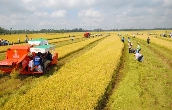 Các trường hợp được miễn thuế sử dụng đất nông nghiệp đến hết ngày 31-12-2030- Ảnh 1.