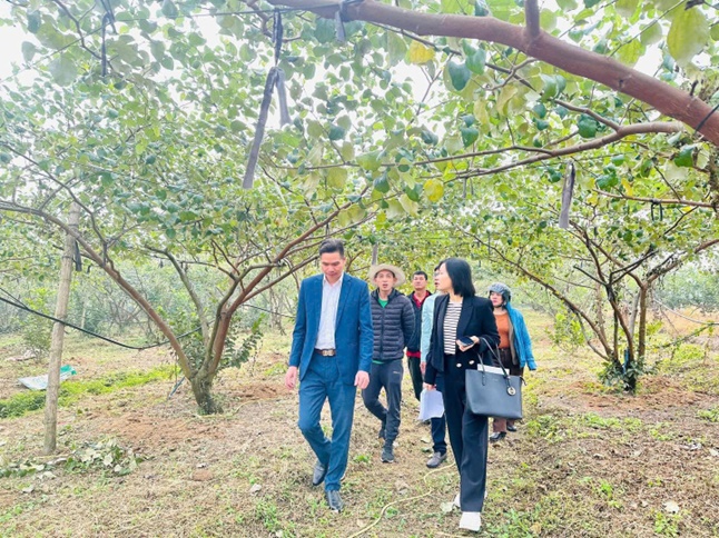 Hội Nông dân xã Hoài Đức đóng góp tích cực trong việc duy trì xã không có hộ cận nghèo- Ảnh 2.