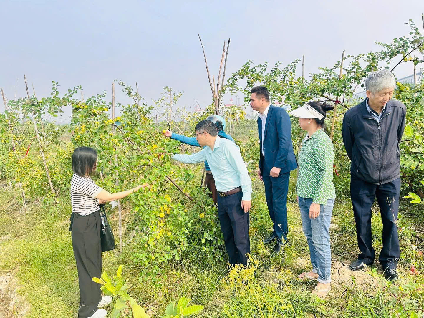 Hội Nông dân xã Hoài Đức đóng góp tích cực trong việc duy trì xã không có hộ cận nghèo- Ảnh 1.