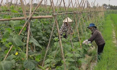 MẶT TRẬN TỔ QUỐC XÃ PHÚC SƠN – ĐIỂM TỰA VỮNG CHẮC TRONG CÔNG TÁC GIẢM NGHÈO BỀN VỮNG- Ảnh 1.
