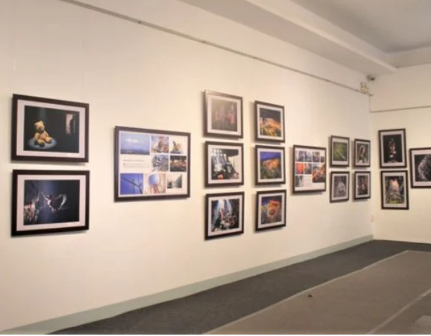 Hà Nội phê duyệt tái cấu trúc 2 thủ tục hành chính lĩnh vực Mỹ thuật, Nhiếp ảnh và Triển lãm: Thực hiện dịch vụ công trực tuyến toàn trình, tiết kiệm hơn 68% chi phí tuân thủ- Ảnh 1.