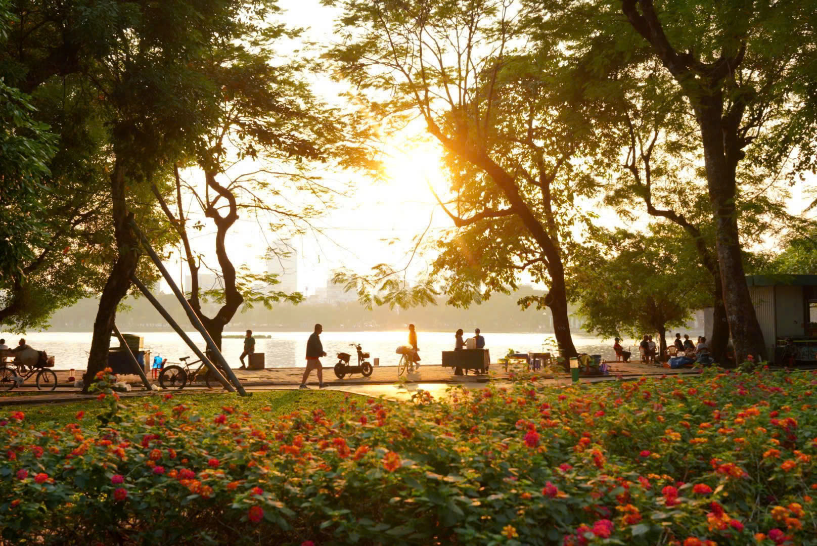 Công viên Thống Nhất - Mở không gian xanh, yên bình giữa lòng phố thị- Ảnh 10.