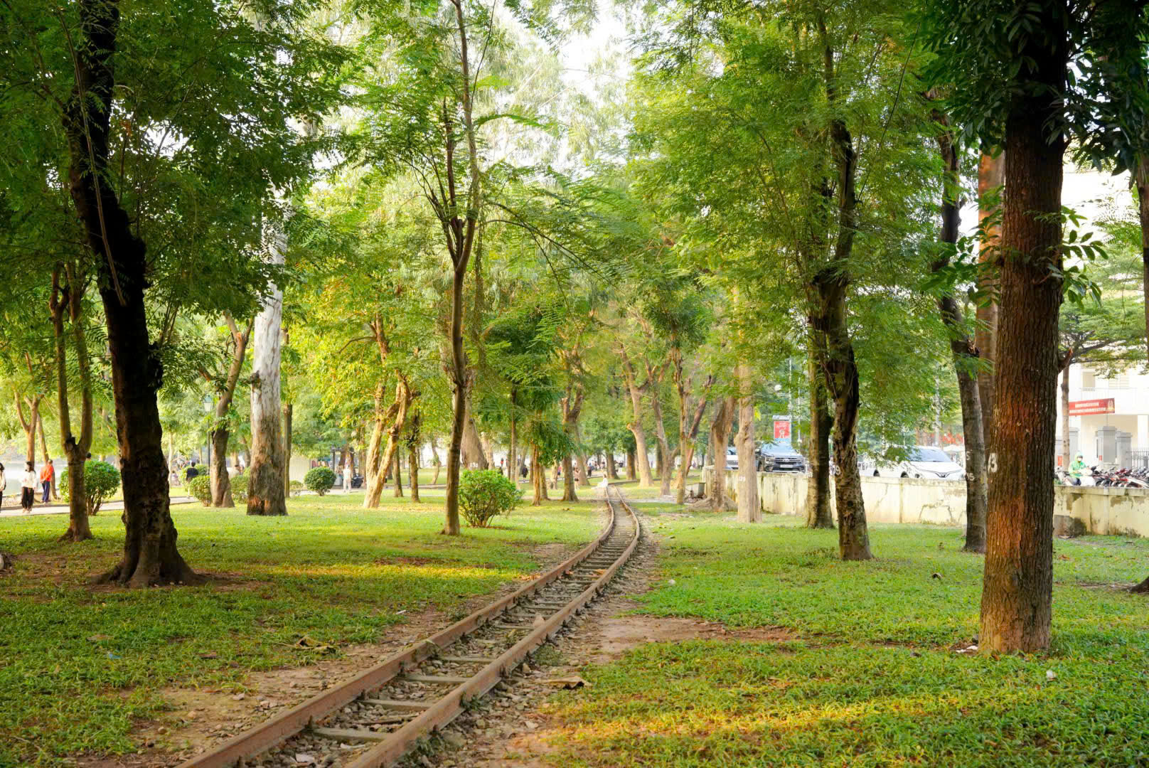 Công viên Thống Nhất - Mở không gian xanh, yên bình giữa lòng phố thị- Ảnh 2.