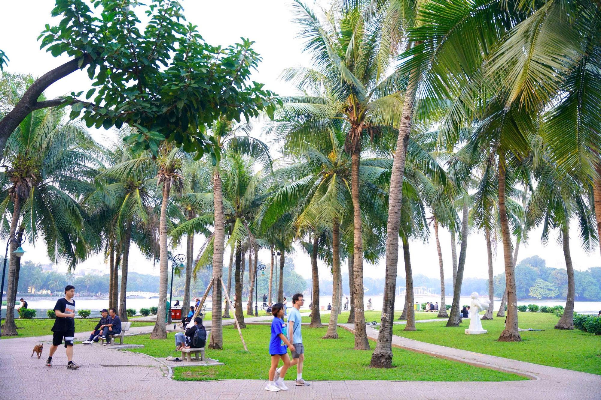 Công viên Thống Nhất - Mở không gian xanh, yên bình giữa lòng phố thị- Ảnh 12.