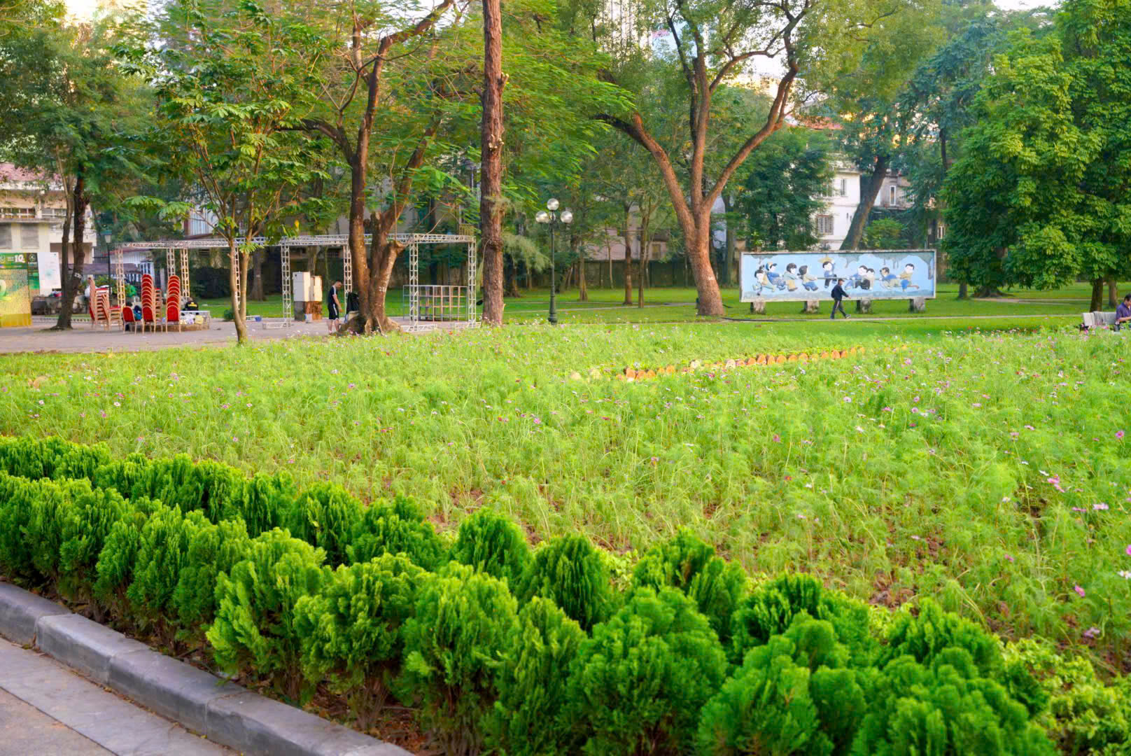 Công viên Thống Nhất - Mở không gian xanh, yên bình giữa lòng phố thị- Ảnh 13.