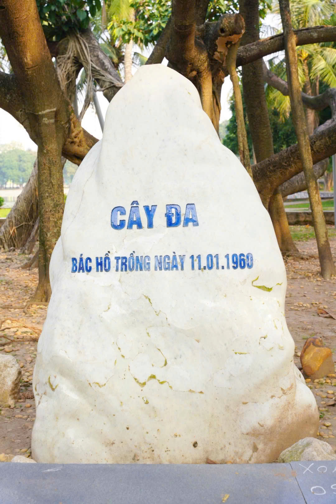 Công viên Thống Nhất - Mở không gian xanh, yên bình giữa lòng phố thị- Ảnh 15.