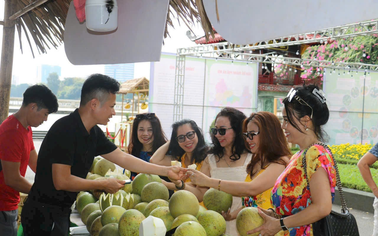 Người nông dân với hành trình nâng tầm bưởi Diễn tại HTX VietGAP Đồng Tiến