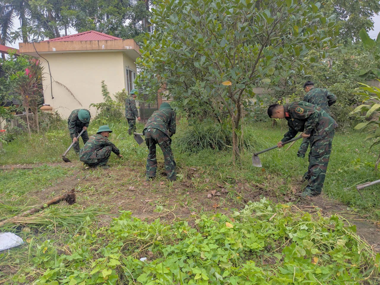 XÃ ĐA PHÚC - Những hình ảnh thực hiện công tác dân vận giai đoạn 2 năm 2025 của Trung đoàn 141 (Sư đoàn 312).- Ảnh 8.