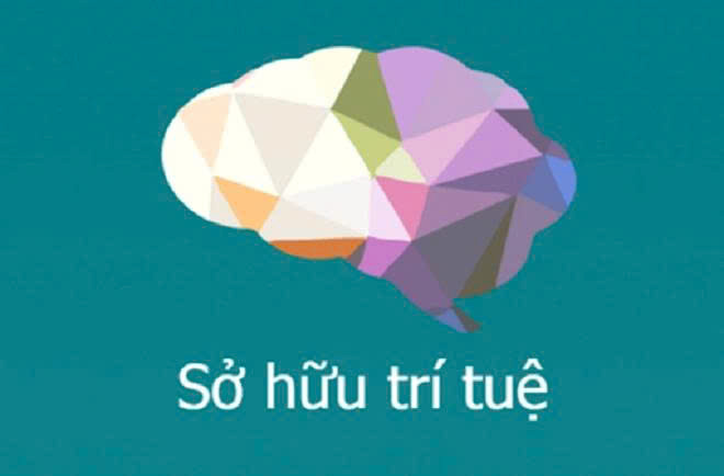 Hà Nội phê duyệt phương án tái cấu trúc thủ tục hành chính lĩnh vực sở hữu trí tuệ, tiết kiệm gần 70% chi phí tuân thủ- Ảnh 1.