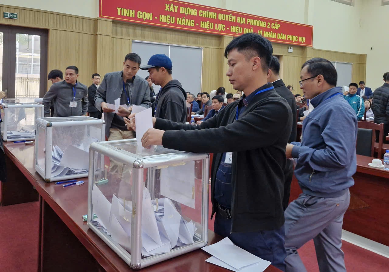 Xã Tiến Thắng đấu giá 33 thửa đất thu về hơn 161 tỷ đồng- Ảnh 1.