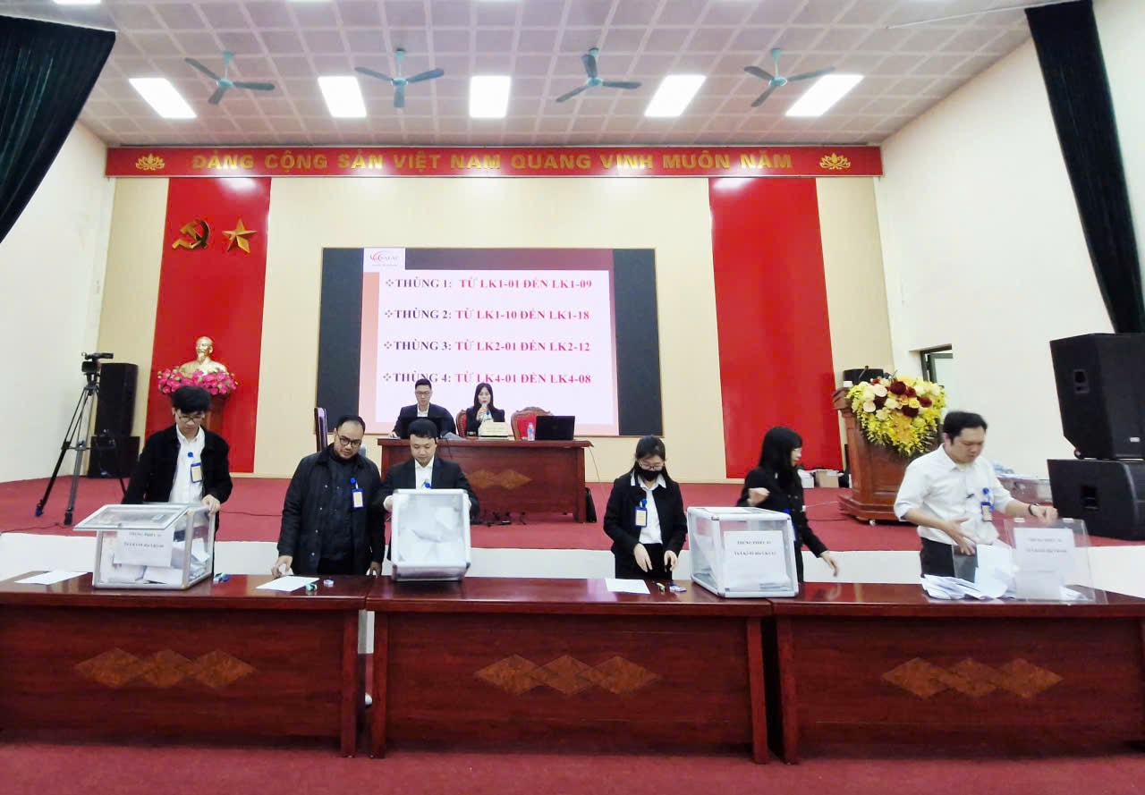 Xã Tiến Thắng đấu giá 33 thửa đất thu về hơn 161 tỷ đồng- Ảnh 2.