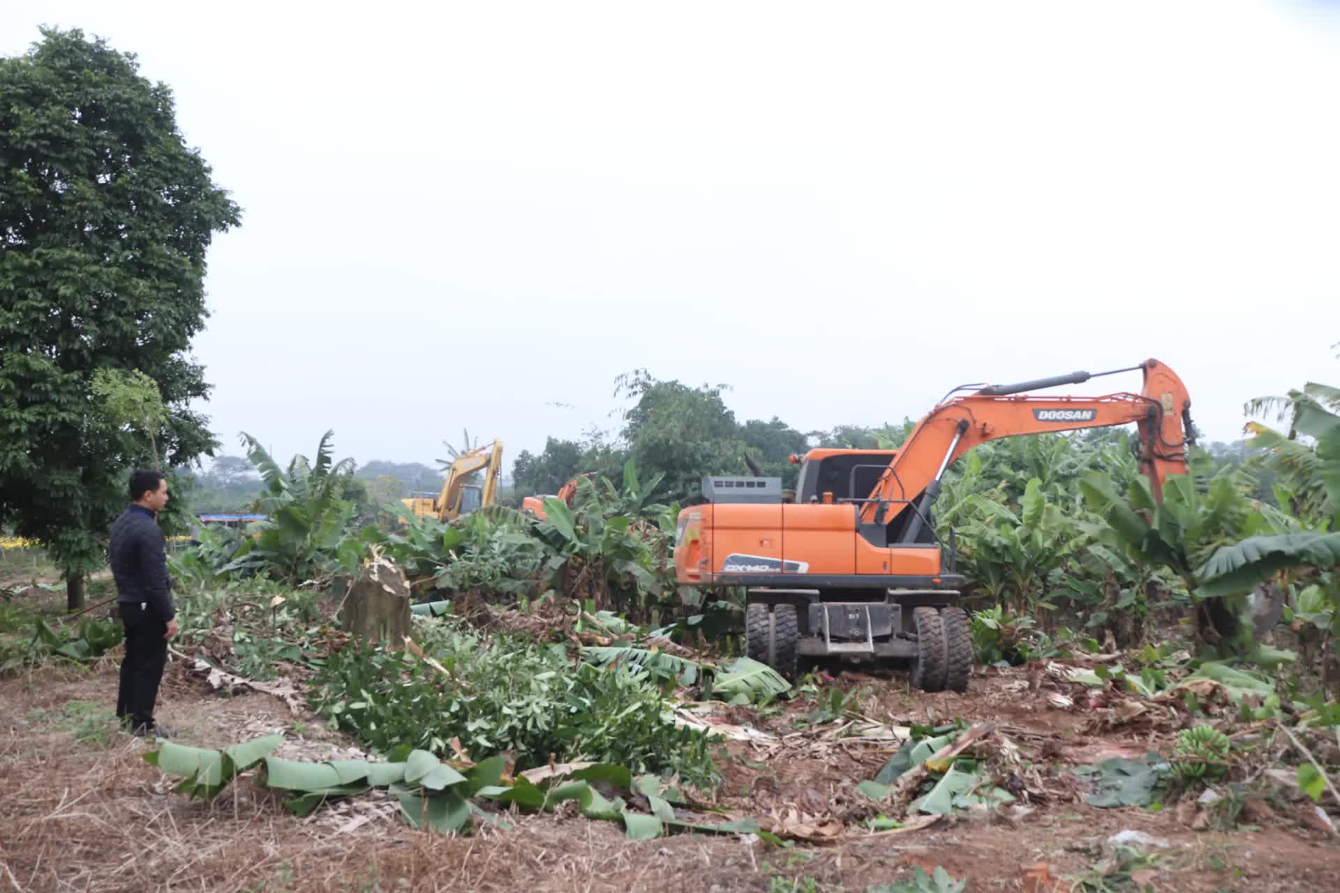 Phường Thượng Cát quyết liệt cưỡng chế xử lý sai phạm tại khu đất bãi ven sông Hồng- Ảnh 3.