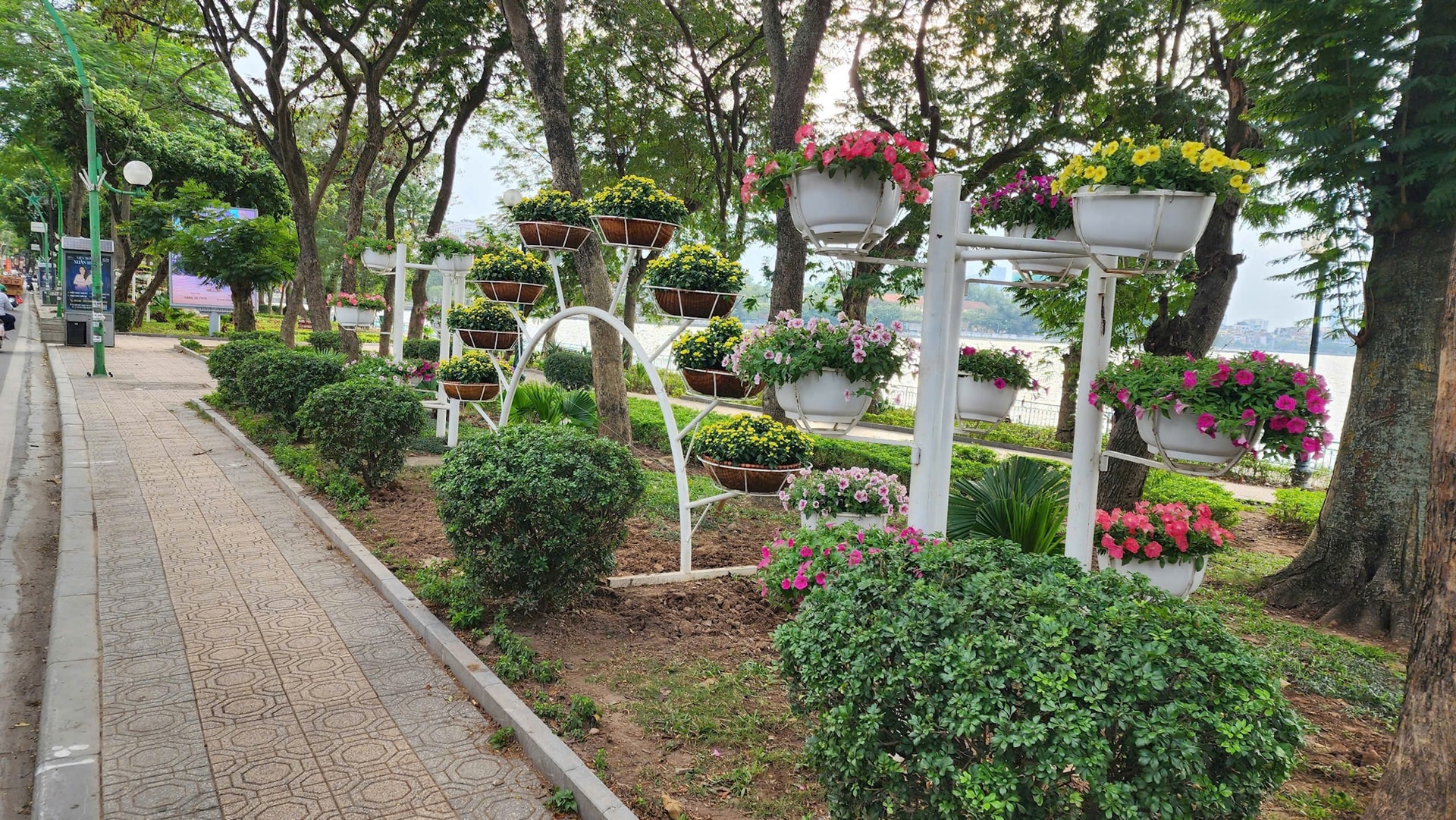 Hà Nội: Rực rỡ cây hoa và chiếu sáng phục vụ Tết Dương lịch 2026- Ảnh 8.