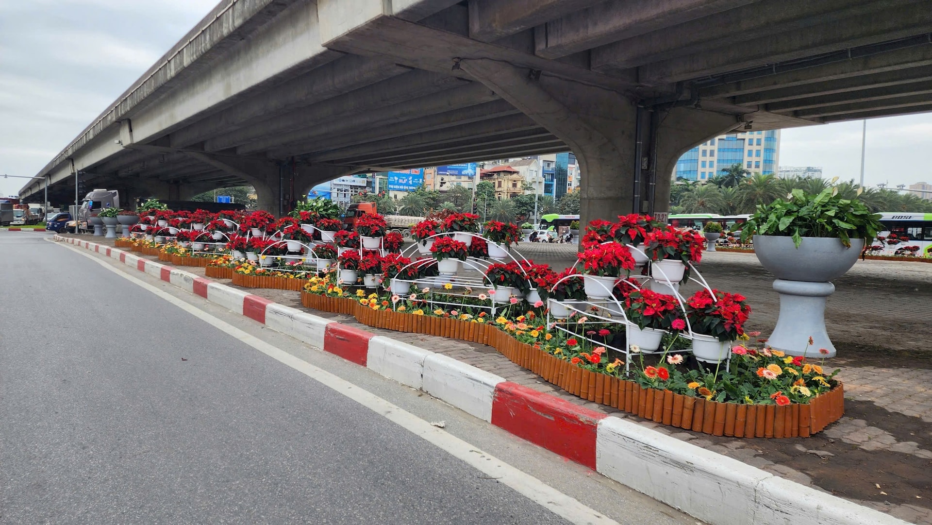 Hà Nội: Rực rỡ cây hoa và chiếu sáng phục vụ Tết Dương lịch 2026- Ảnh 13.