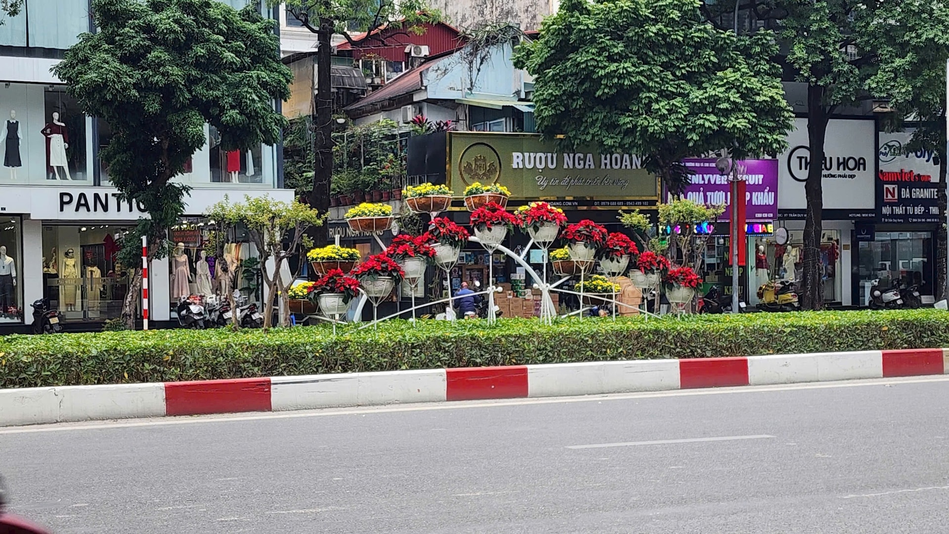 Hà Nội: Rực rỡ cây hoa và chiếu sáng phục vụ Tết Dương lịch 2026- Ảnh 2.